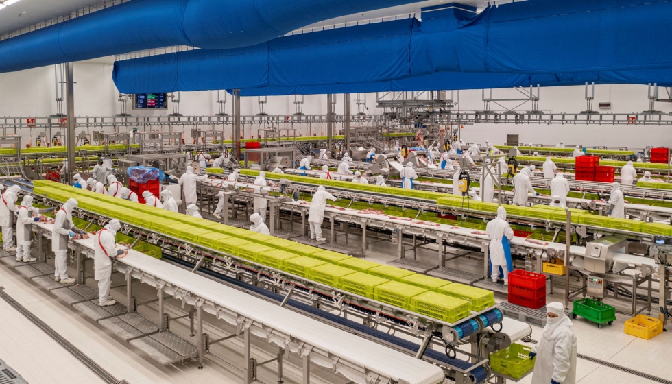 Proyecto Chapas Antideslizantes Noel