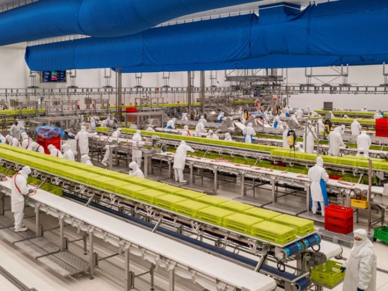 Proyecto Chapas Antideslizantes Noel